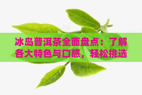 冰岛普洱茶全面盘点：了解各大特色与口感，轻松挑选适合你的普洱茶