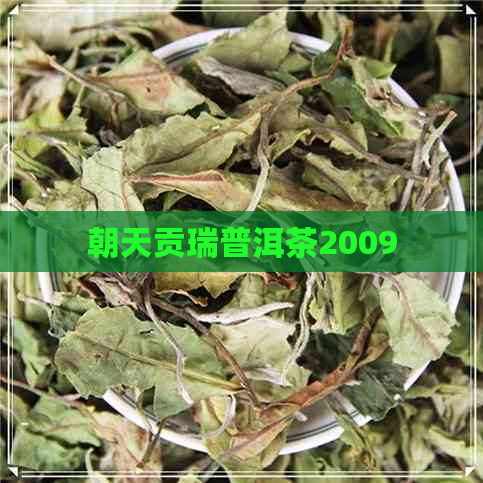 朝天贡瑞普洱茶2009