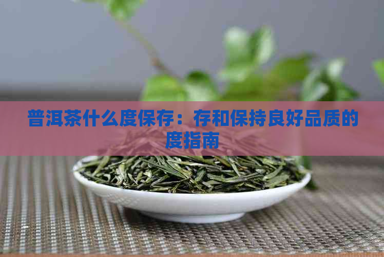 普洱茶什么度保存：存和保持良好品质的度指南