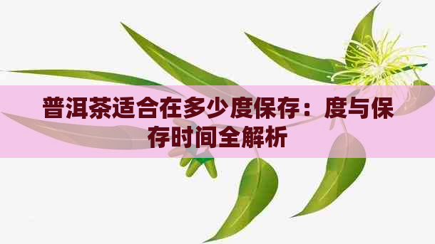 普洱茶适合在多少度保存：度与保存时间全解析