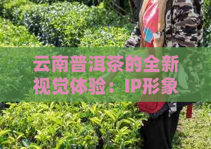 云南普洱茶的全新视觉体验：IP形象展示与文化传承