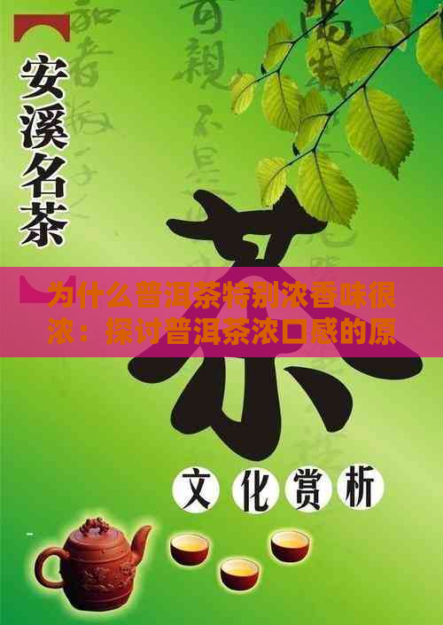 为什么普洱茶特别浓香味很浓：探讨普洱茶浓口感的原因