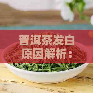 普洱茶发白原因解析：这种现象是否影响品质和可饮用性？