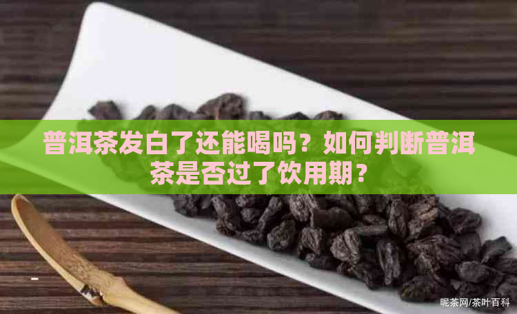 普洱茶发白了还能喝吗？如何判断普洱茶是否过了饮用期？