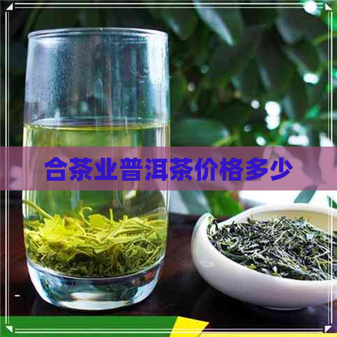 合茶业普洱茶价格多少