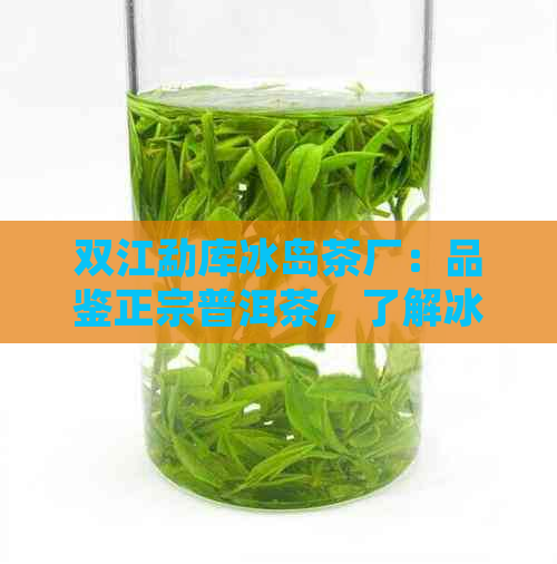 双江勐库冰岛茶厂：品鉴正宗普洱茶，了解冰岛茶的独特魅力与生产过程