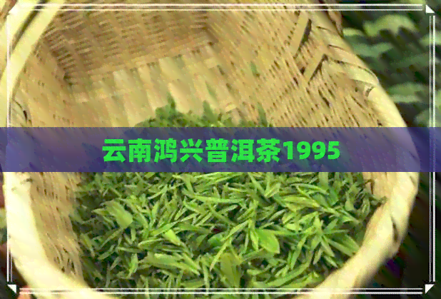 云南鸿兴普洱茶1995