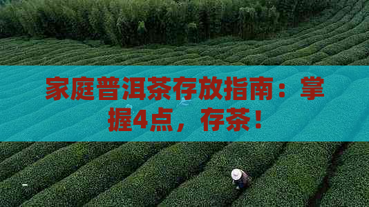 家庭普洱茶存放指南：掌握4点，存茶！