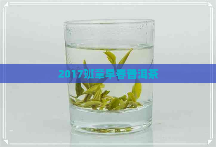 2017班章早春普洱茶