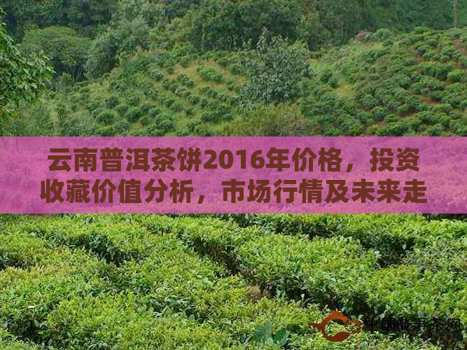 云南普洱茶饼2016年价格，投资收藏价值分析，市场行情及未来走势预测