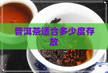 普洱茶适合多少度存放