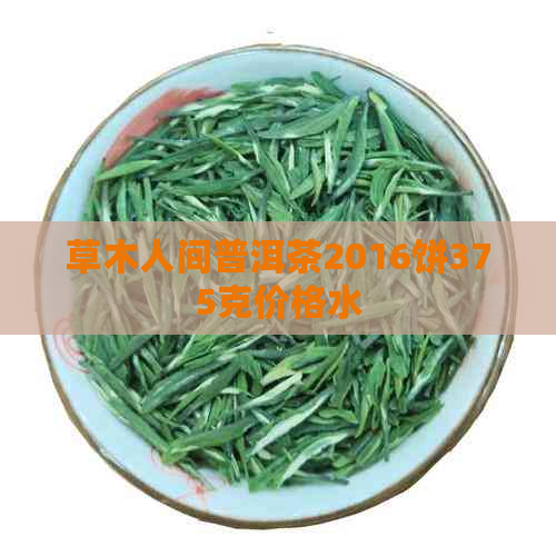 草木人间普洱茶2016饼375克价格水