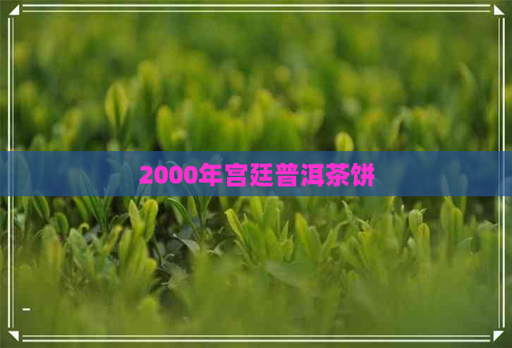 2000年宫廷普洱茶饼