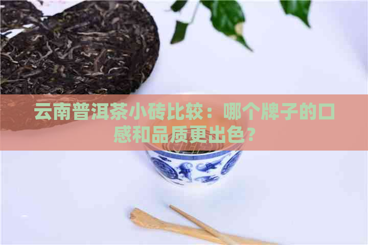 云南普洱茶小砖比较：哪个牌子的口感和品质更出色？