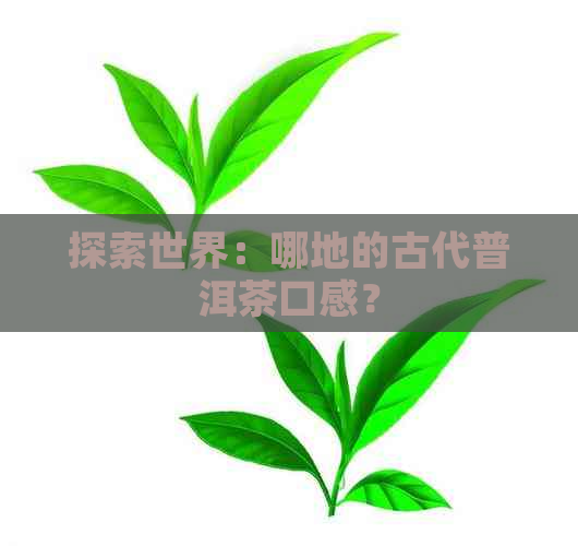 探索世界：哪地的古代普洱茶口感？