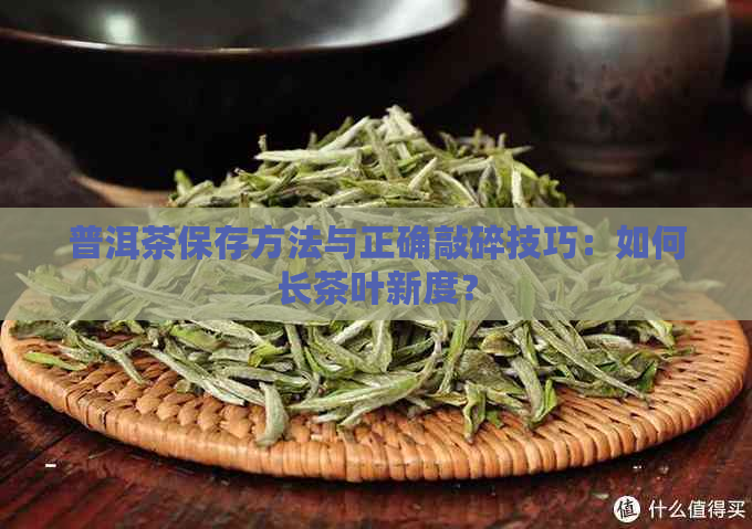 普洱茶保存方法与正确敲碎技巧：如何长茶叶新度？