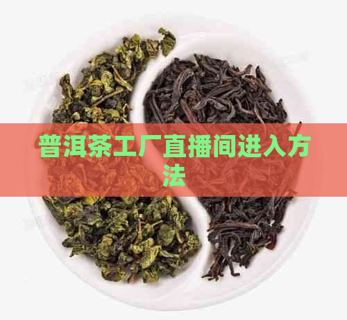 普洱茶工厂直播间进入方法