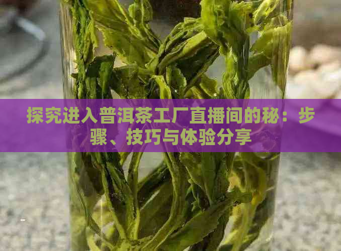 探究进入普洱茶工厂直播间的秘：步骤、技巧与体验分享