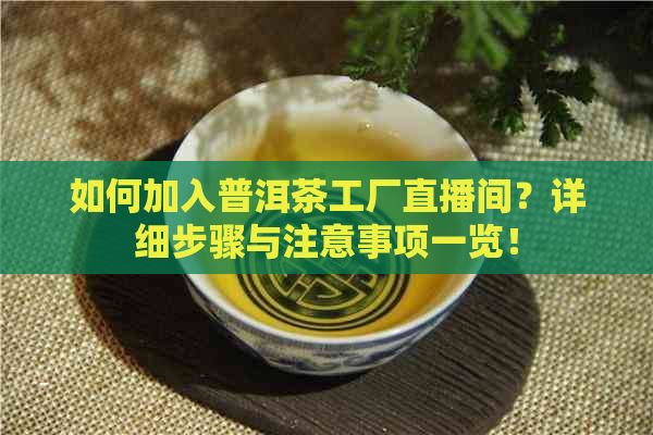 如何加入普洱茶工厂直播间？详细步骤与注意事项一览！