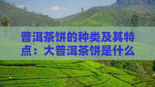 普洱茶饼的种类及其特点：大普洱茶饼是什么茶？