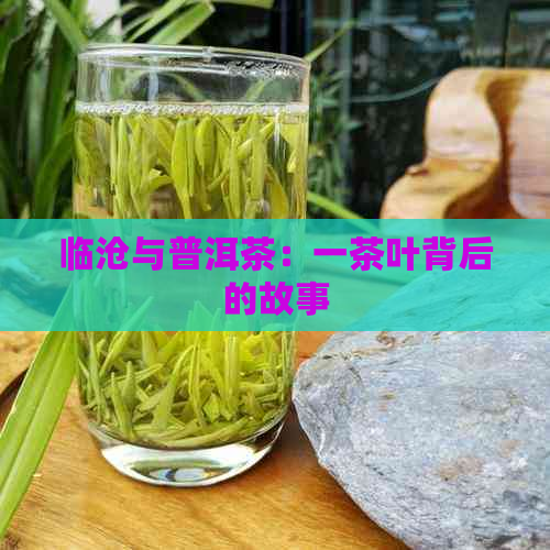 临沧与普洱茶：一茶叶背后的故事