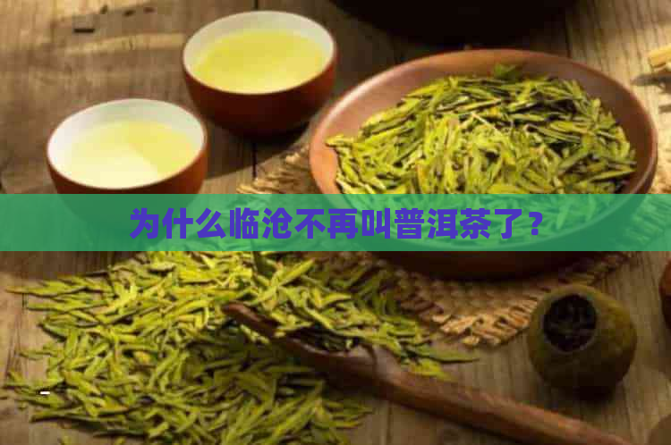 为什么临沧不再叫普洱茶了？