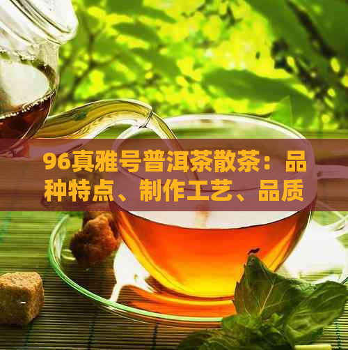 96真雅号普洱茶散茶：品种特点、制作工艺、品质鉴与品饮方法全方位解析