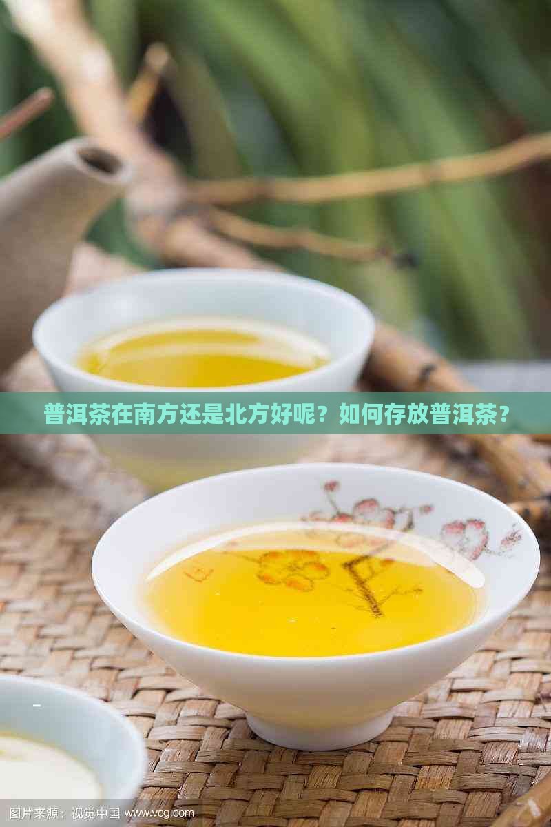 普洱茶在南方还是北方好呢？如何存放普洱茶？