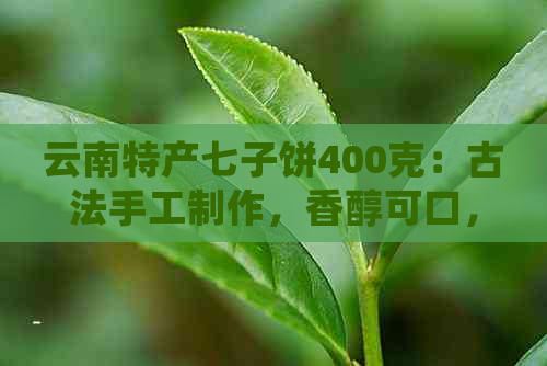 云南特产七子饼400克：古法手工制作，香醇可口，茶马文化交流之选