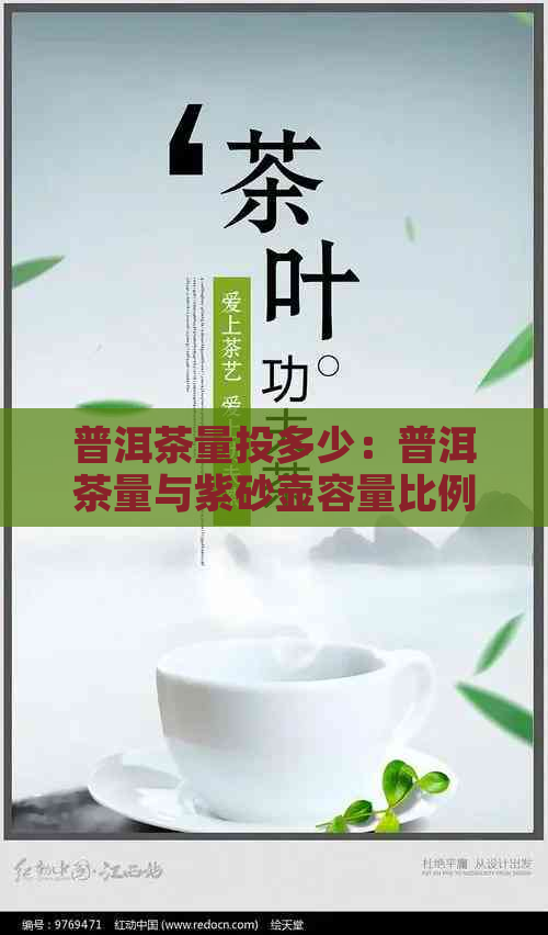 普洱茶量投多少：普洱茶量与紫砂壶容量比例，普洱茶量词解析及大量收购