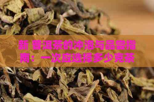 新 普洱茶的冲泡与品尝指南：一次应选择多少克茶叶？