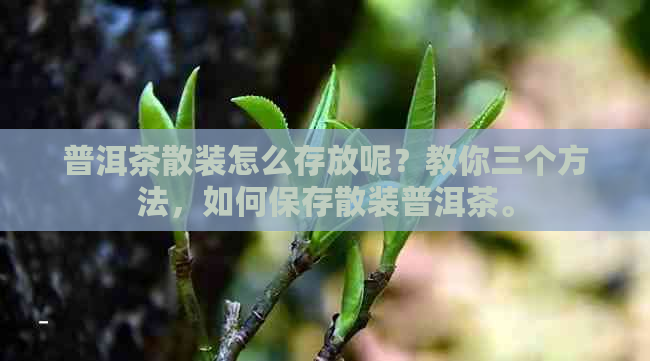 普洱茶散装怎么存放呢？教你三个方法，如何保存散装普洱茶。