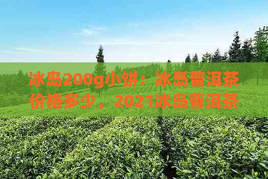 冰岛200g小饼：冰岛普洱茶价格多少，2021冰岛普洱茶多少钱一斤？