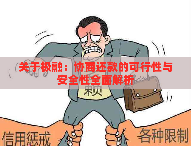 关于极融：协商还款的可行性与安全性全面解析