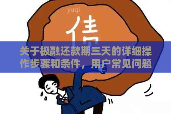 关于极融还款期三天的详细操作步骤和条件，用户常见问题解答