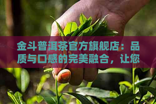 金斗普洱茶官方旗舰店：品质与口感的完美融合，让您品味非凡