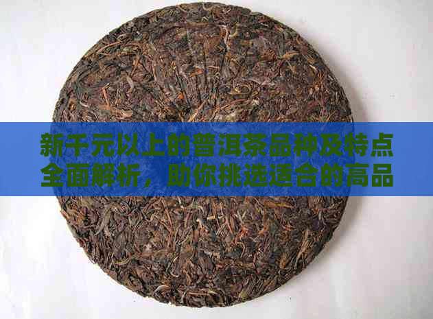 新千元以上的普洱茶品种及特点全面解析，助你挑选适合的高品质普洱茶