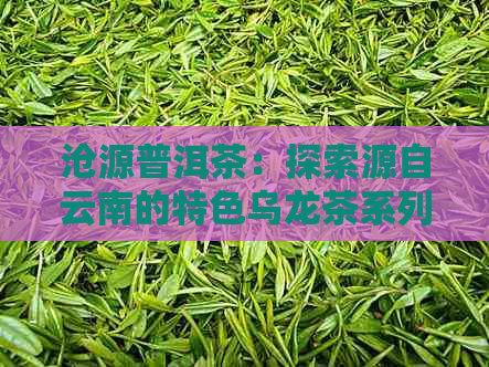 沧源普洱茶：探索源自云南的特色乌龙茶系列