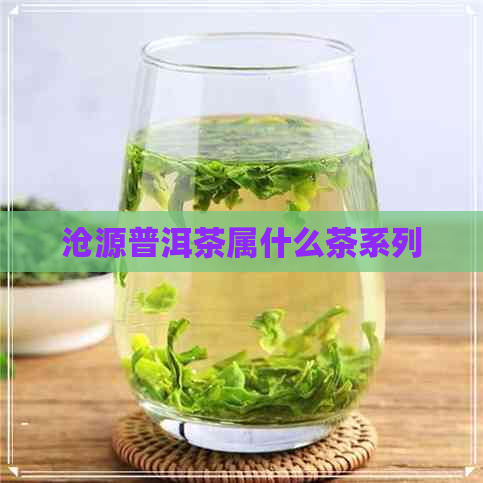 沧源普洱茶属什么茶系列