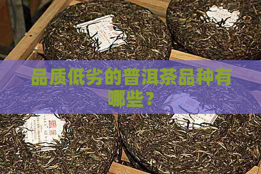 品质低劣的普洱茶品种有哪些？