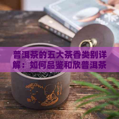 普洱茶的五大茶香类别详解：如何品鉴和欣普洱茶的香气？