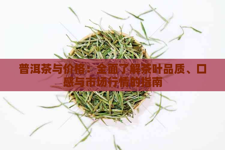 普洱茶与价格：全面了解茶叶品质、口感与市场行情的指南