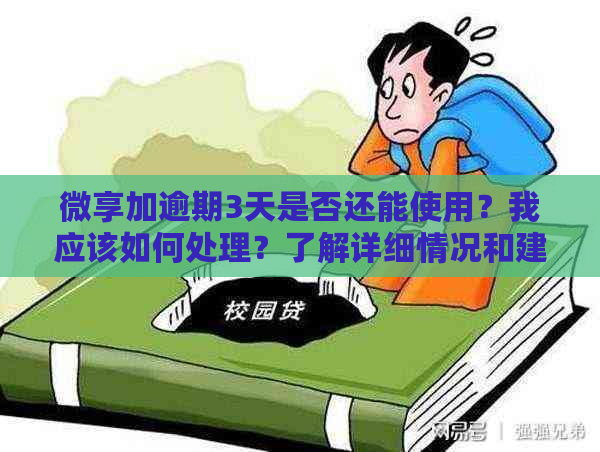 微享加逾期3天是否还能使用？我应该如何处理？了解详细情况和建议