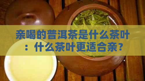 亲喝的普洱茶是什么茶叶：什么茶叶更适合亲？