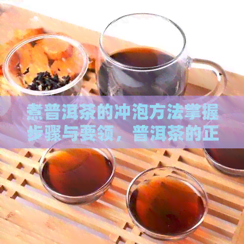 煮普洱茶的冲泡方法掌握步骤与要领，普洱茶的正确泡法助你品鉴美味！