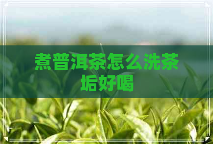 煮普洱茶怎么洗茶垢好喝