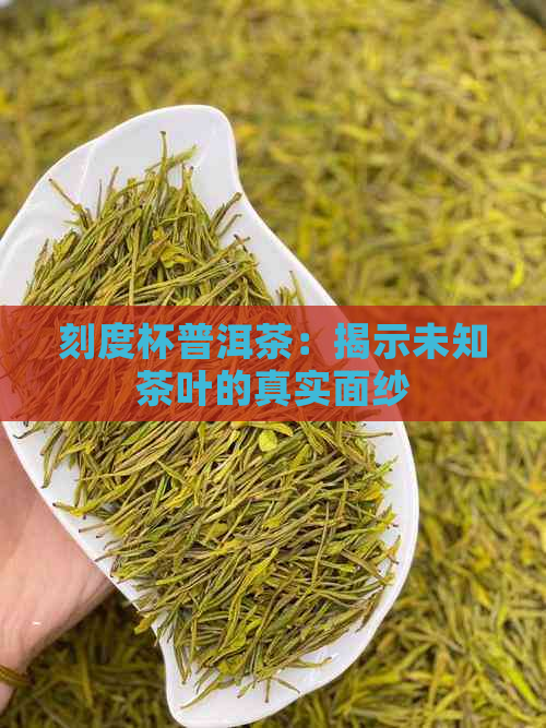 刻度杯普洱茶：揭示未知茶叶的真实面纱