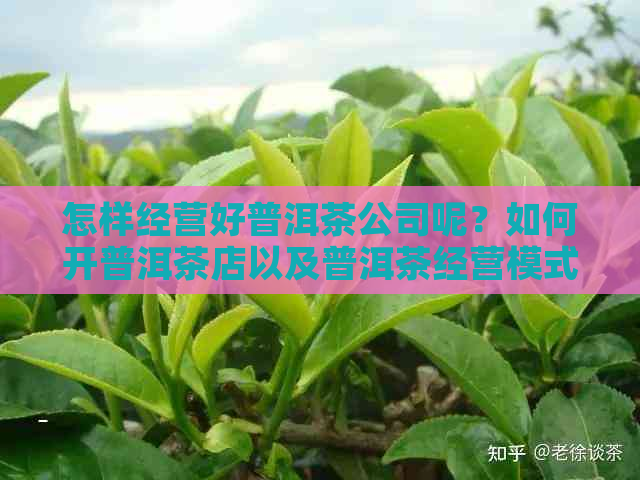 怎样经营好普洱茶公司呢？如何开普洱茶店以及普洱茶经营模式解析