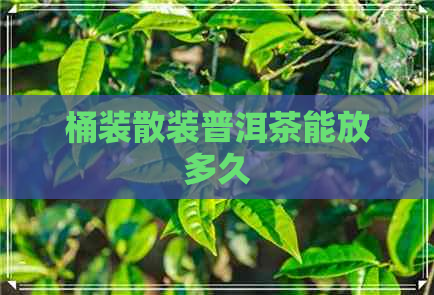 桶装散装普洱茶能放多久