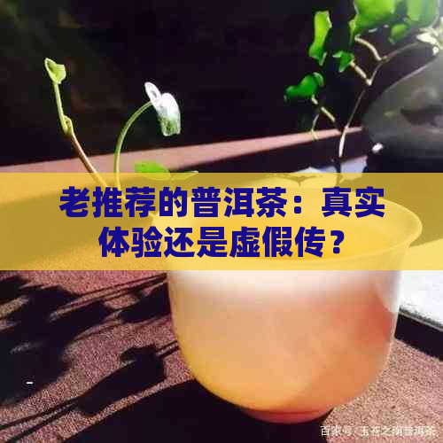 老推荐的普洱茶：真实体验还是虚假传？